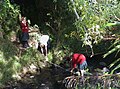 Year 10 Kaikorai Valley College students measuring the cross sectional area of a transect across the stream to determine, with velocity data, the flow rate..JPG