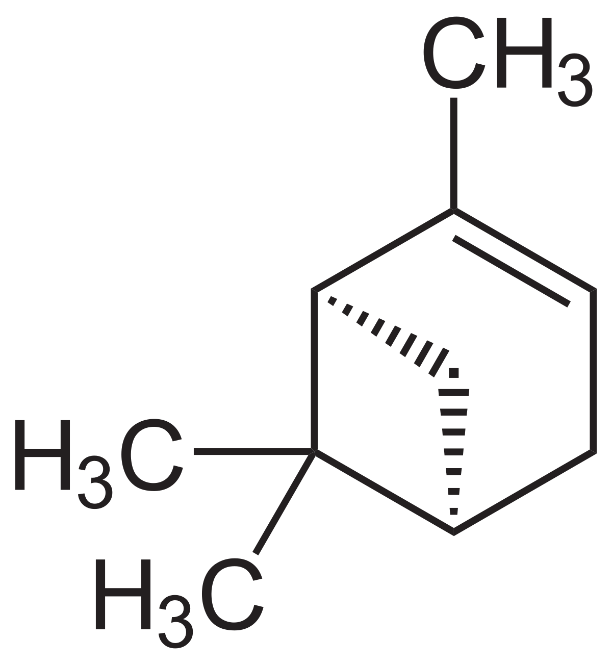 Conioselinum - Wikipedia