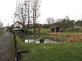 Čeština: Rybníček v Šemnicích. Okres Karlovy Vary, Česká republika.