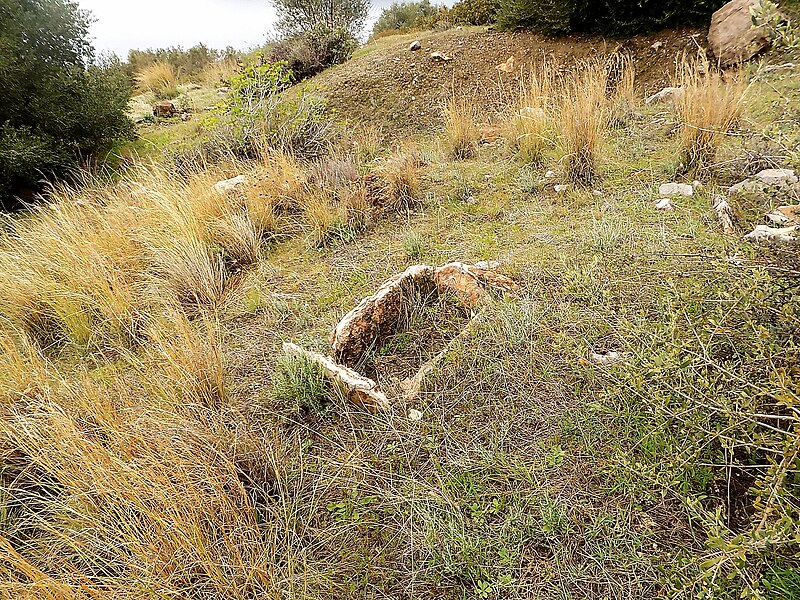 File:Τάφος, στο νεκροταφείο ,στην ακρόπολη Μεδεώνος - DSCN4673.jpg