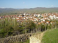 Vinica (Macédoine du Nord)