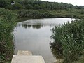 Приднестровье , СОТ- ЛИВАДИЯ, местное озерцо. - panoramio.jpg