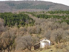 Поглед на црквата Св. Петка селото Живово