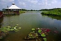 八德埤塘自然生態公園