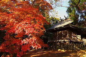 風景相，左邊有樖啲葉紅晒嘅樹，右邊有個木建築