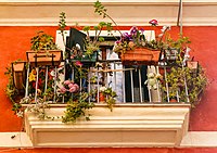 Rank: 10 Balcony with flowers and stuffed toys
