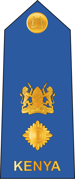 File:11. Kenyan Air Force LTCOL.svg