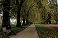 2005-11-10 - London - Hyde Park - Albert Memorial (4888427034).jpg