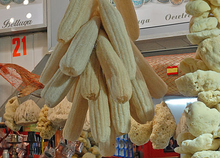 Sponges made of sponge gourd for sale alongside sponges of animal origin (Spice Bazaar at Istanbul, Turkey).