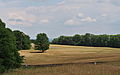 * Nomination Hornberg glider site, Ostalbkreis, Germany --Kreuzschnabel 16:33, 1 July 2014 (UTC) * Promotion A splodge top left. Right side is leaning in. See my notes. --Cccefalon 05:09, 2 July 2014 (UTC) Done Spot removed. There’s nothing leaning in through distortion (see the perfectly straight "FLUGPLATZ" board, the cones by the runway or the trees in background). The mesh fence is really leaning that way. --Kreuzschnabel 08:32, 2 July 2014 (UTC) Good quality and I trust your explanation. --Cccefalon 09:52, 2 July 2014 (UTC)