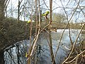 Saarbrücken, Februar 2018