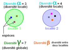 Schéma des différentes mesures de diversité utilisées en écologie