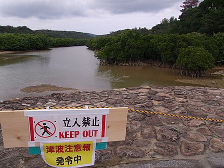 沖繩縣慶佐次灣紅樹林的海嘯警報牌。