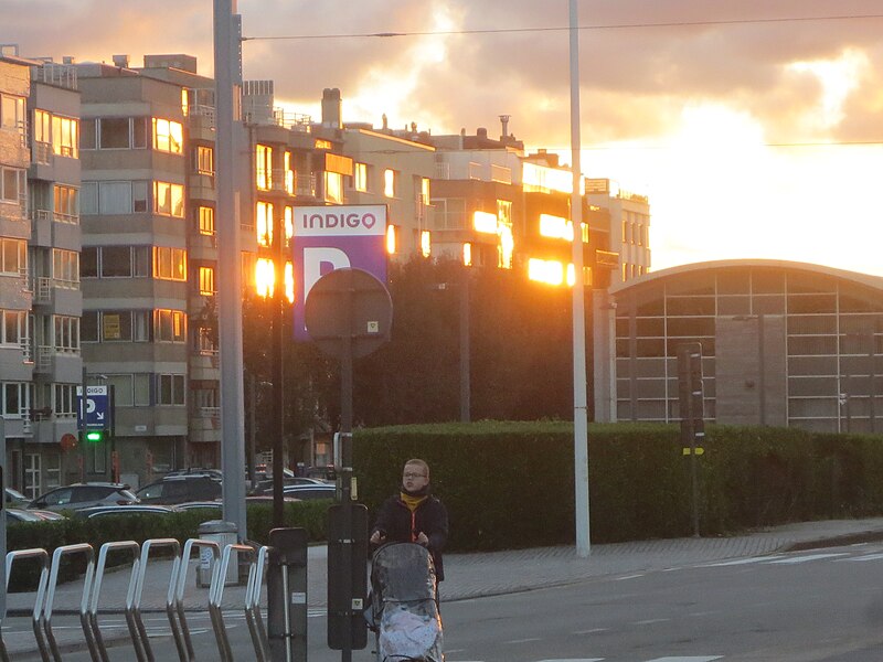 File:2023-10-27 - Promenade à Ostende (B) 29.jpg