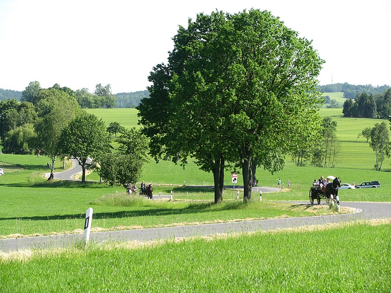 File:21te Rammenauer Schlossrundfahrt der Pferdegespanne (014).jpg