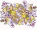 Thumbnail for Diamine oxidase