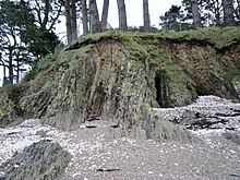 Falaise de la rive sud de l'Île d'Arun montrant des roches plissées verticalement.