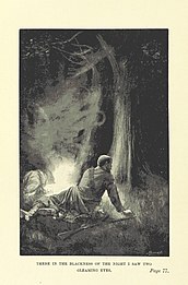 "Allí, en la oscuridad de la noche, vi dos ojos brillantes", lámina en la página 77 de La ciudad de oro de Edward Markwick, 1896