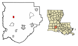 Localização de Iota na Paróquia de Acádia, Louisiana.