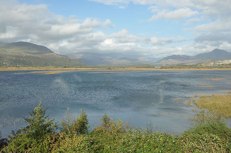 File:Afon Glaslyn estuary from the Ffestiniog Railway (8360).jpg