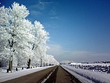 樹氷と雪景色