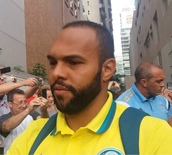 Alecsandro-palmeiras-2016.png