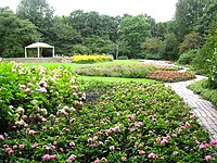 Rosarium