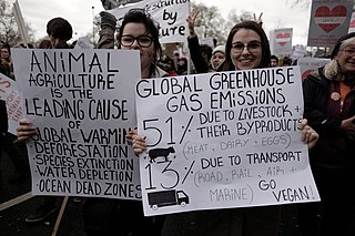 Animal agriculture is the leading cause of global warming. (23126879740).jpg