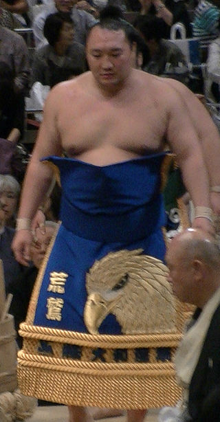 <span class="mw-page-title-main">Arawashi Tsuyoshi</span> Sumo wrestler