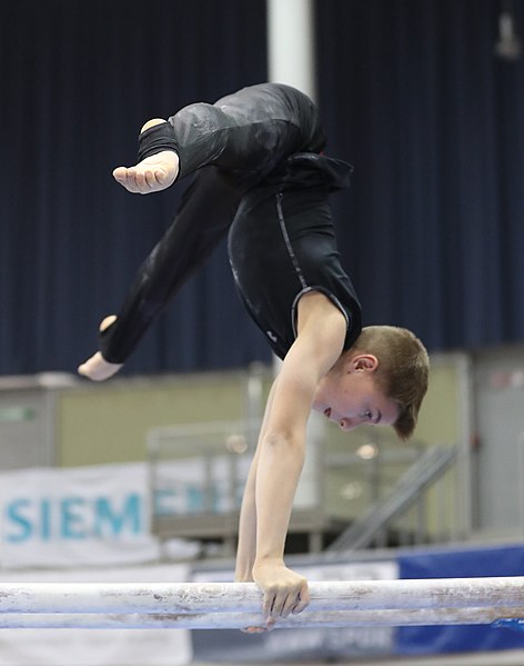 File:Austrian Future Cup 2018-11-23 Training Afternoon Parallel bars (Martin Rulsch) 0260.jpg