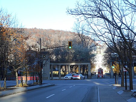 Avenue McGill College 07