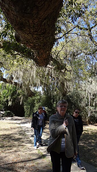 File:Avery Island, Louisiana-063.JPG