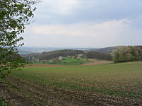 Von Böllstein (Wallbrunn) aus nach NW erblickt man über den Gneis-Hügeln des Schnellerts und der Reinheimer Bucht den Basalt-Roßberg. Links im Hintergrund sind auf der westlichen Gesprenzseite die Berge der Flasergranitoidzone (Steinkaute) zu sehen.