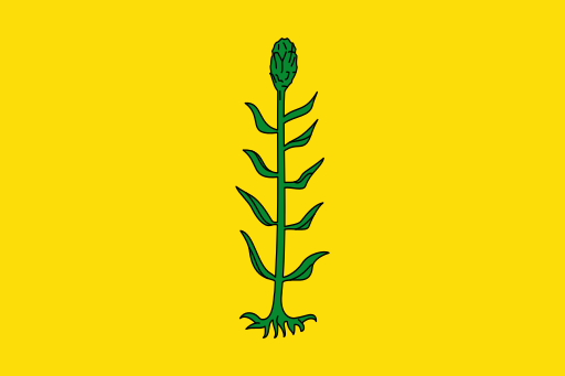 File:Bandera de Canyellas (Barcelona).svg