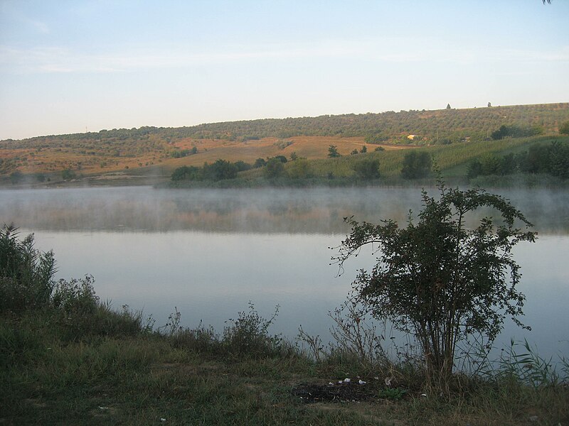 File:Barajul Aroneanu2.jpg