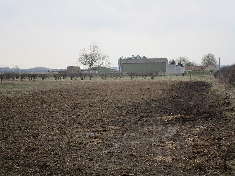 File:Behind the hedge - geograph.org.uk - 4347290.jpg