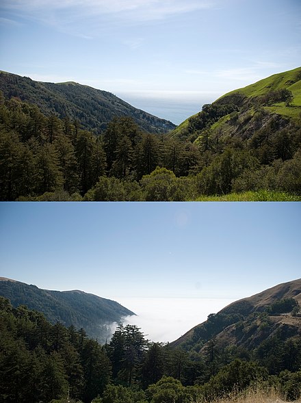 Upper image from March and lower image from October, showing a typical fog bank nearly 1,000 feet (300 m) thick. Also illustrating the difference in vegetation between the winter rainy season and dry early fall.