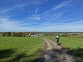 Blick über Altensturmberg auf die nördl. Wupperhänge