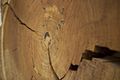 Blok hout met jaarringen - Unknown - 20533996 - RCE.jpg