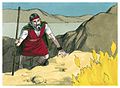 Book of Exodus Chapter 4-3 (Bible Illustrations by Sweet Media).jpg