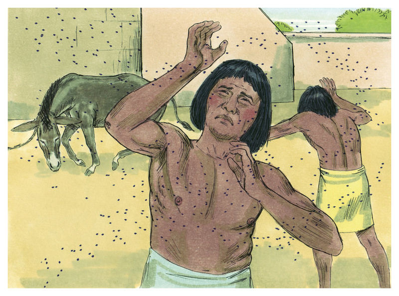 File:Book of Exodus Chapter 9-6 (Bible Illustrations by Sweet Media).jpg