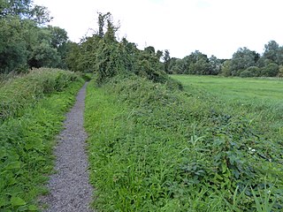 <span class="mw-page-title-main">Bramford Meadows</span> Local nature reserve in Bramford, Suffolk, England