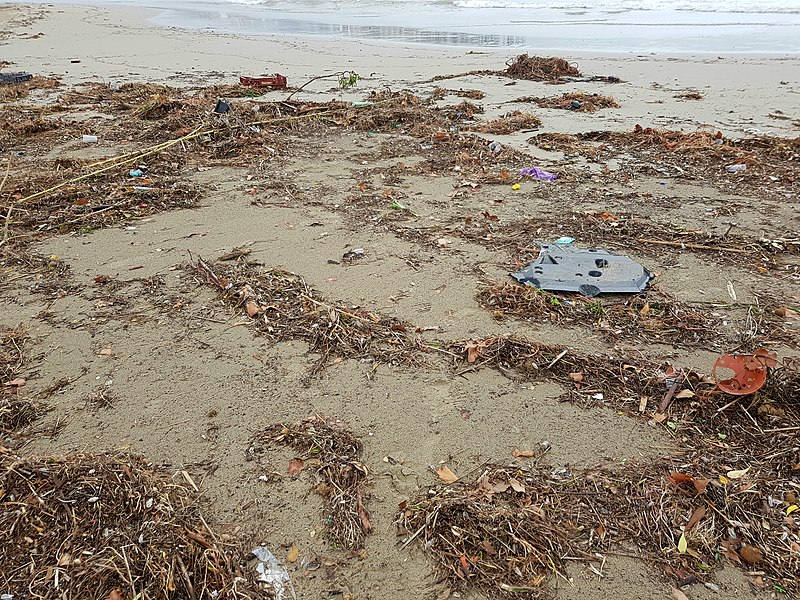 File:Brossa a la platja de l'Arenal després de la pluja del dia 21 d'abril de 2019.jpg