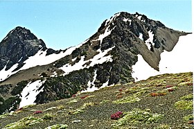 Buckhorn Mountain from west.jpg