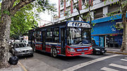 Miniatura para Línea 110 (Buenos Aires)
