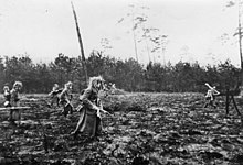 Grenadiers operating in the area of Aachen, Germany in December 1944 Bundesarchiv Bild 183-J28344, Westfront, Grenadiere gehen bei Aachen vor.jpg