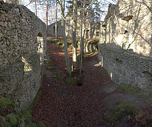 Burgruine Wildenfels - Blick in das Hauptwohngebäude der Burg (Januar 2012)