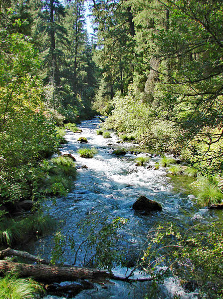 File:Burney Creek Rapids,CA 9-06 (22649839369).jpg