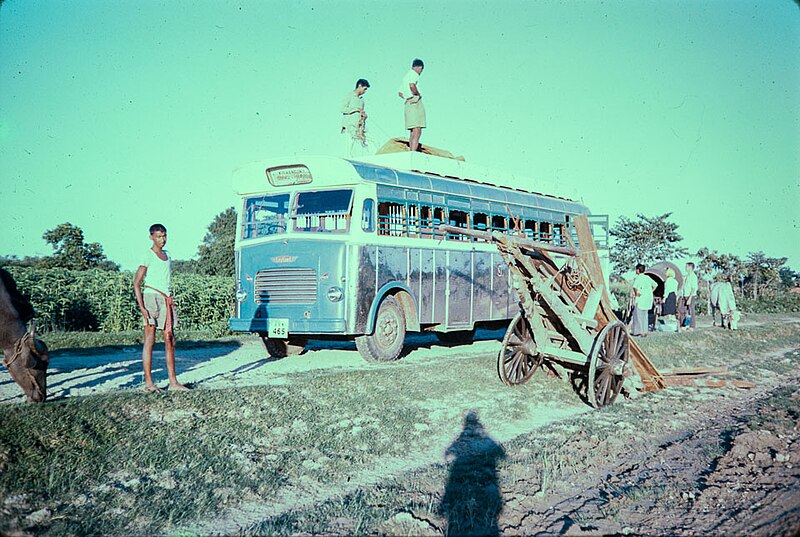 File:Bus and bullock cart in Jhapa.jpg