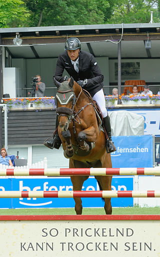 <span class="mw-page-title-main">Marc Houtzager</span> Dutch equestrian